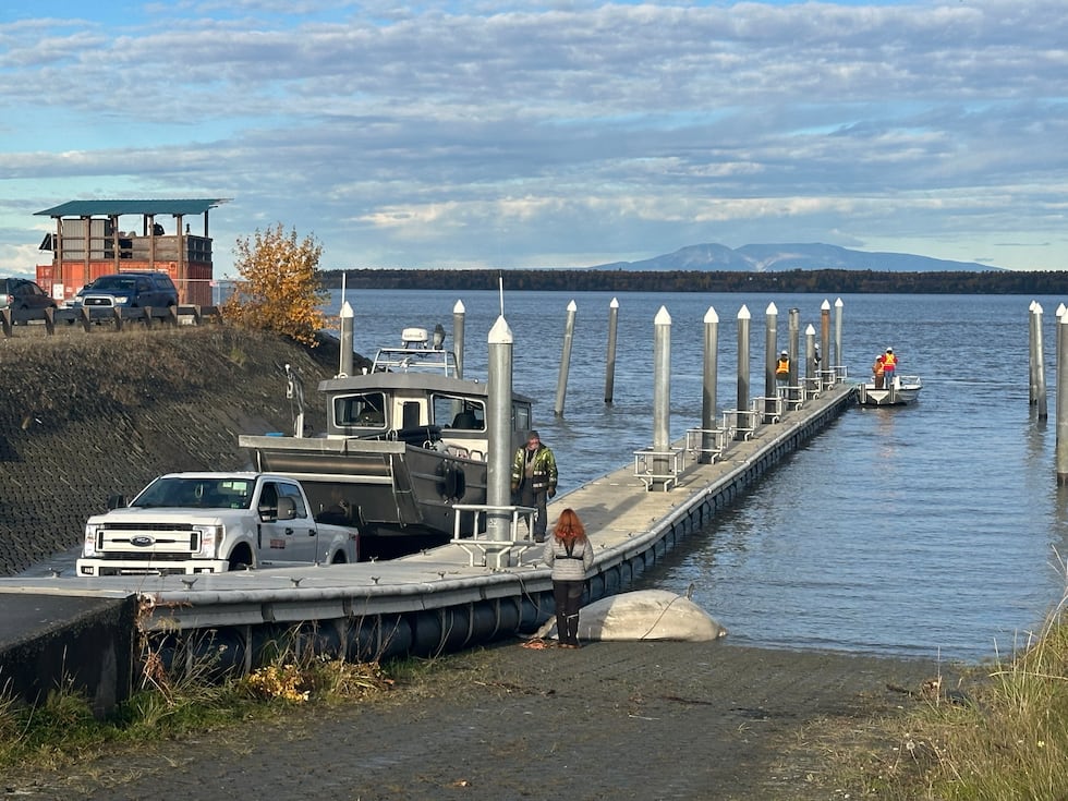 A dead beluga whale was found beached Tuesday morning at the mouth of Ship Creek in Anchorage.