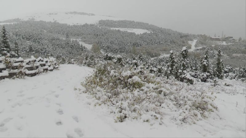 Snowfall arrived in Anchorage with a vigor Wednesday, with higher elevations on the hillside...