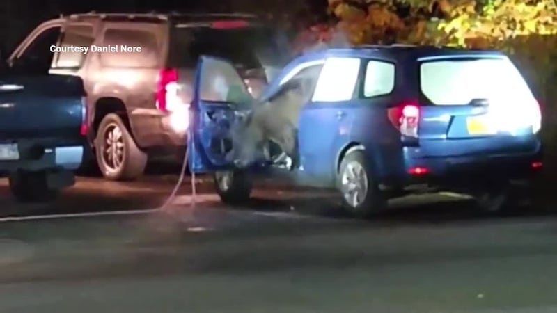 A black bear ended up stuck in a Subaru in Juneau, Alaska.