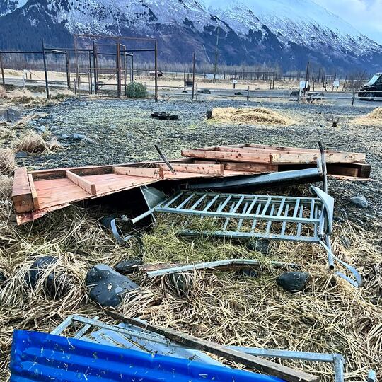Strong winds destroy deer shelter at Alaska Wildlife Conservation Center
