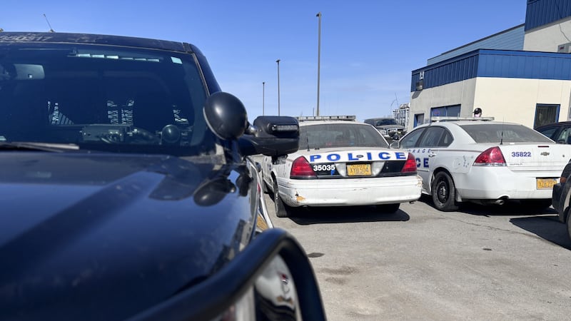 The municipality's car lot is full of marked and unmarked cars that have seen better days.
