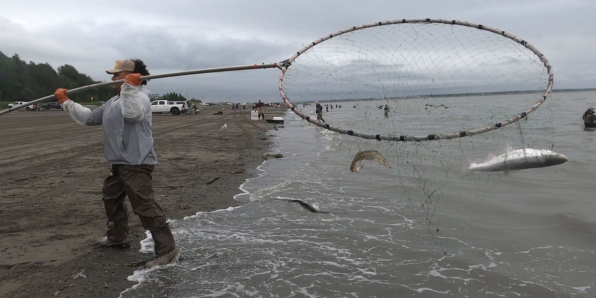 dip net fishing ontario Foldable Fish Landing Net,Fishing Catch Release Net with Telescopic Handle Fishing Net Fishing Net, Nets Dip Net - Aquatic Equipment