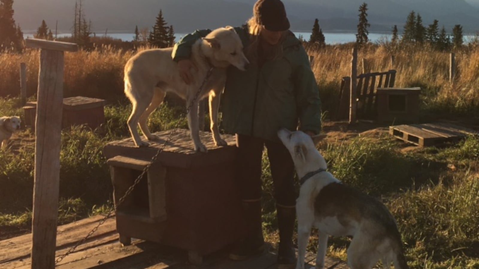 Libby Riddles Dogs Iditarod legend Libby Riddles: where is she now?