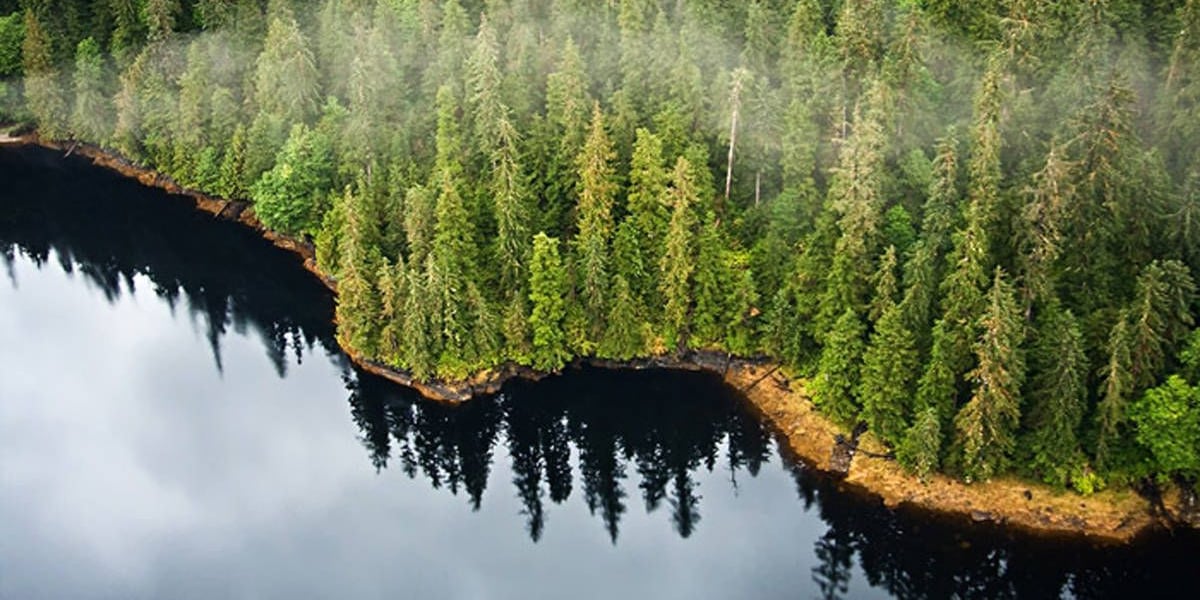 USDA faces growing backlash over proposed rescission of Roadless Rule in Alaska’s Tongass National Forest