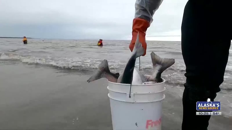 Fishing Report