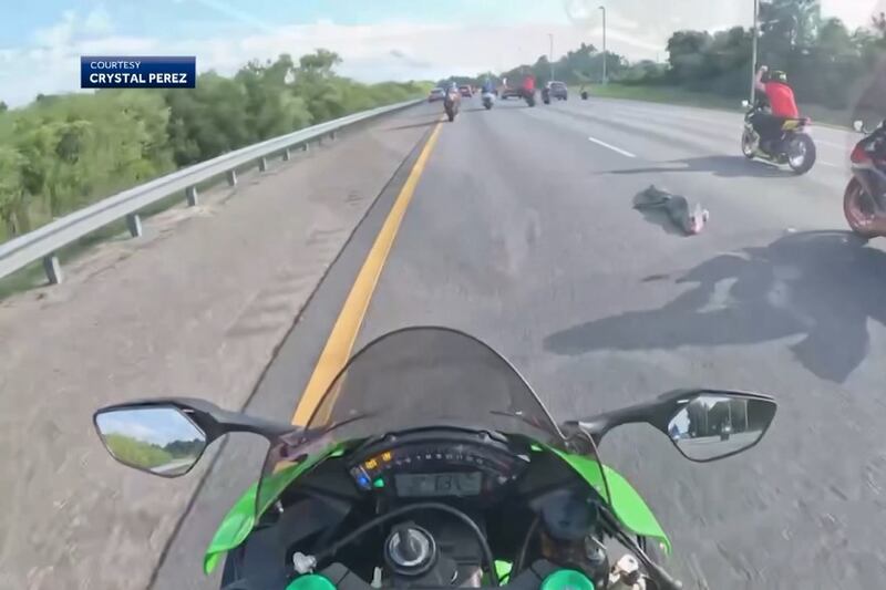 Two motorcyclists hit a 6-foot alligator in the middle of a highway, sending both bikers to...