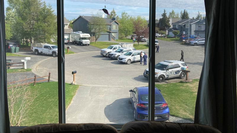 Police officers assisted Anchorage Animal Care and Control (AACC) in the seizure of 71 dogs....