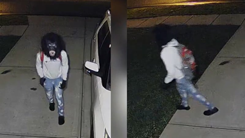 A suspect in a gorilla mask was among a group of people attempting to break into parked cars.