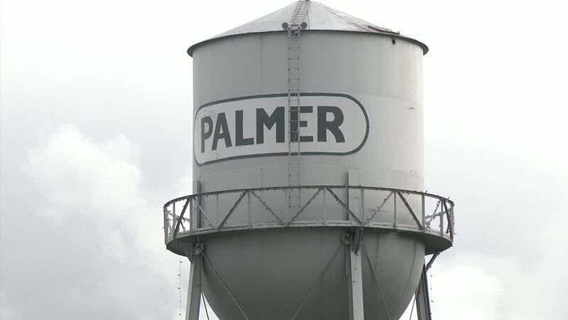 The recall election comes after several disagreements within City Council about how Palmer...