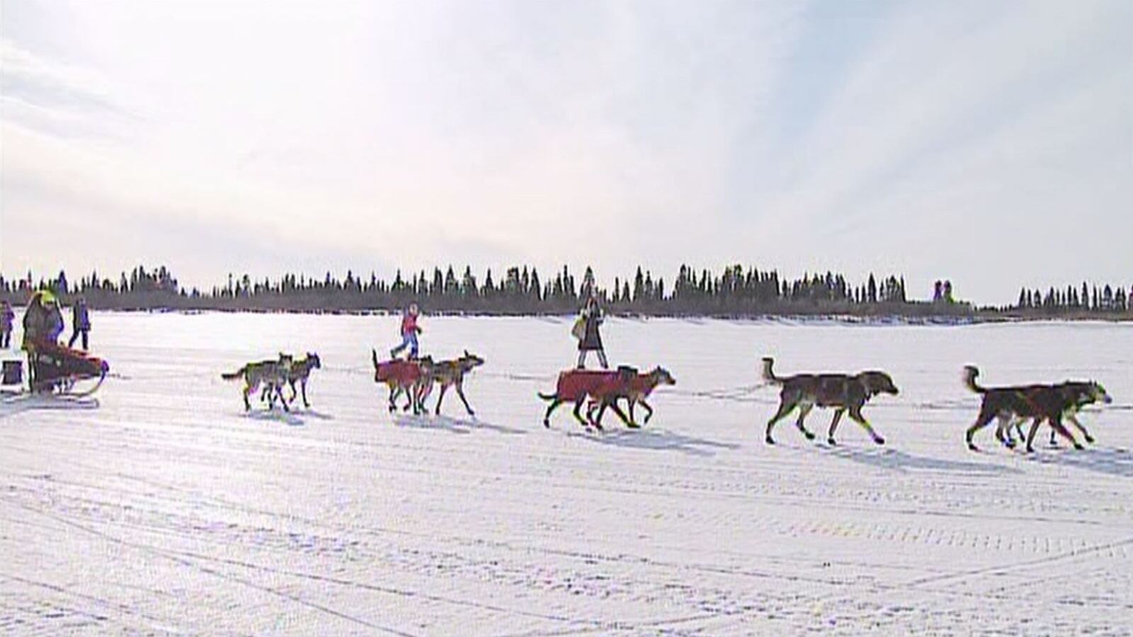 Iditarod mushers draw starting positions for Saturday start