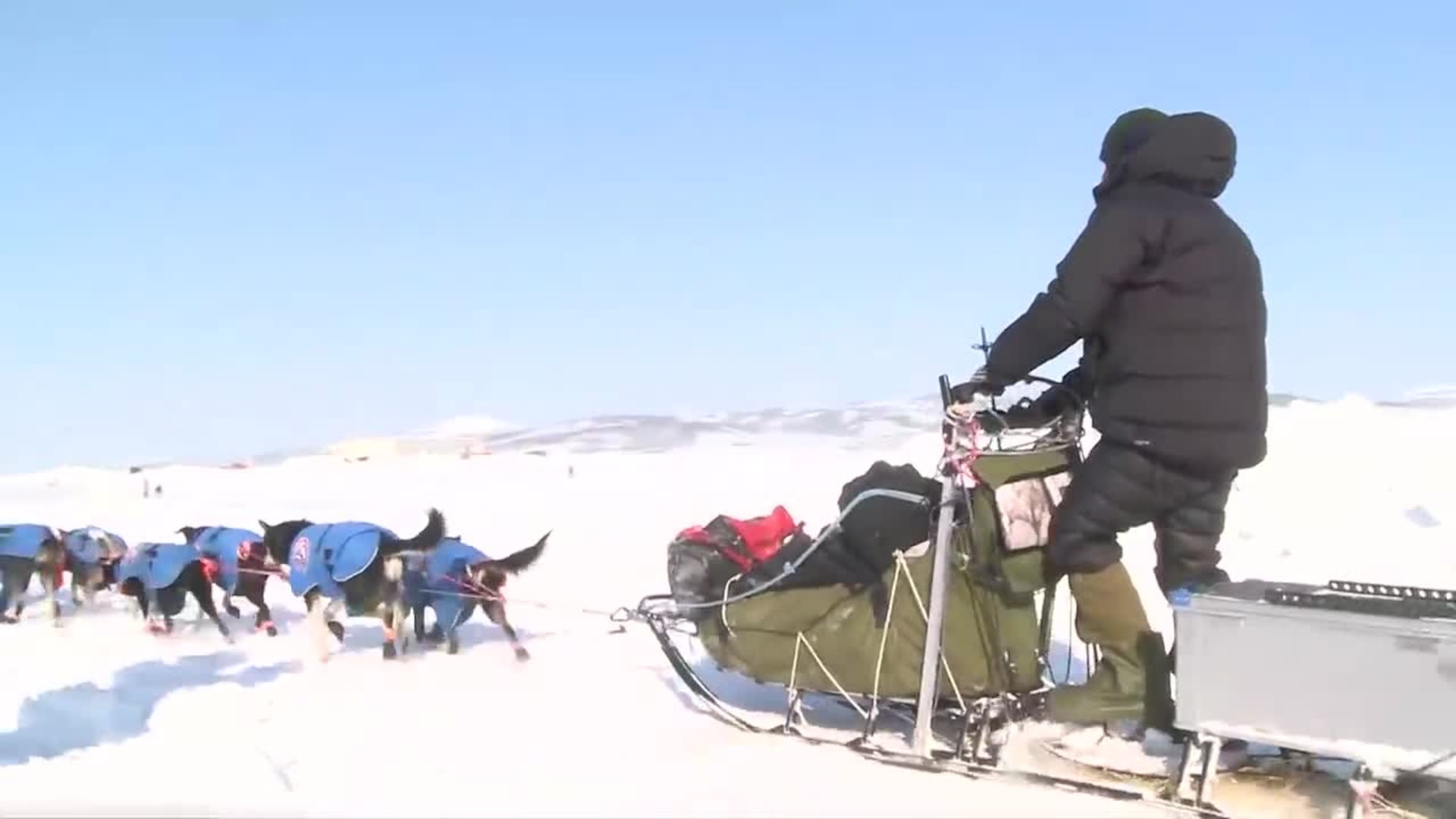 Front of Iditarod 54 pack reaches Unalakleet checkpoint