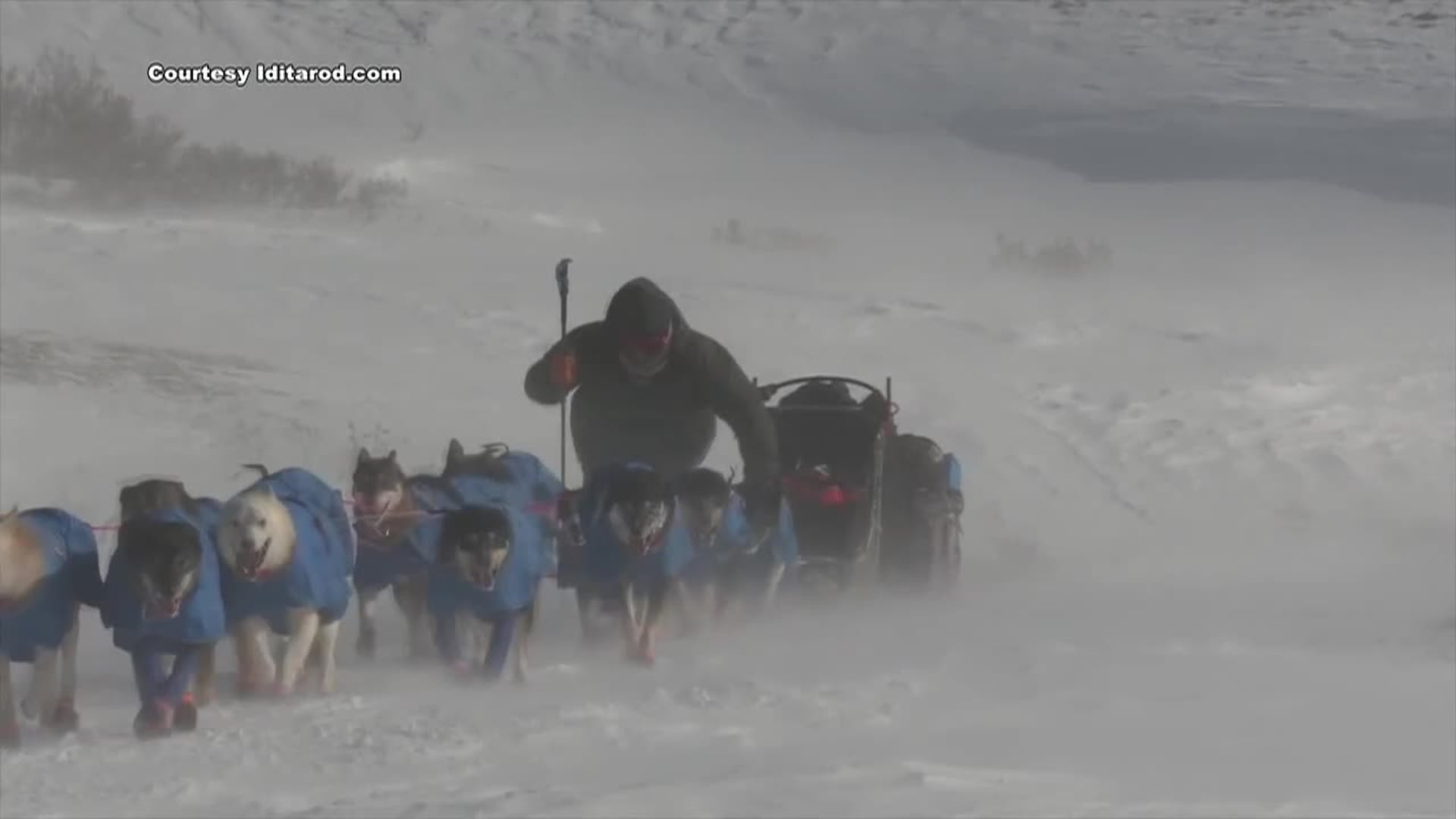 Jessie Holmes chases back-to-back Iditarod title, joining rare company in race history