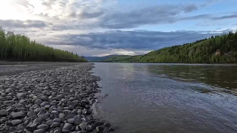 Sights & Sounds: Ferries and birds in Dawson City