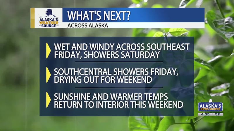 MF - Live at 5 Liveshot graphic