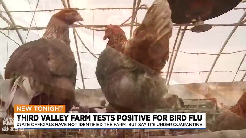 Arizona state officials have not identified the farm but say it's under quarantine. Angie...
