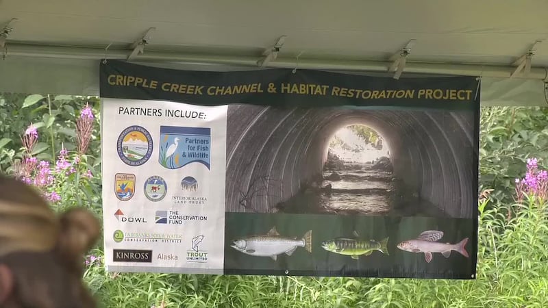 Kinross Gold and Trout Unlimited partner to revive historic Chinook salmon habitat damaged by...