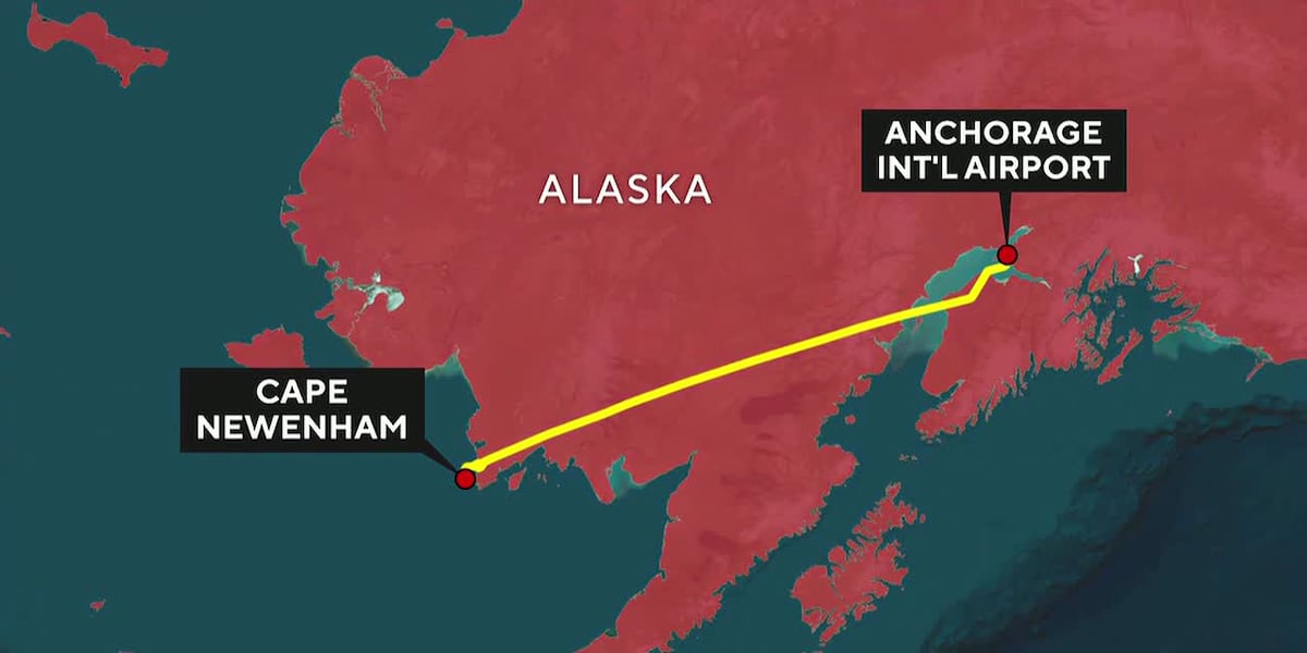Coverage image for: Latest details a day after fatal plane crash that killed 8 on board