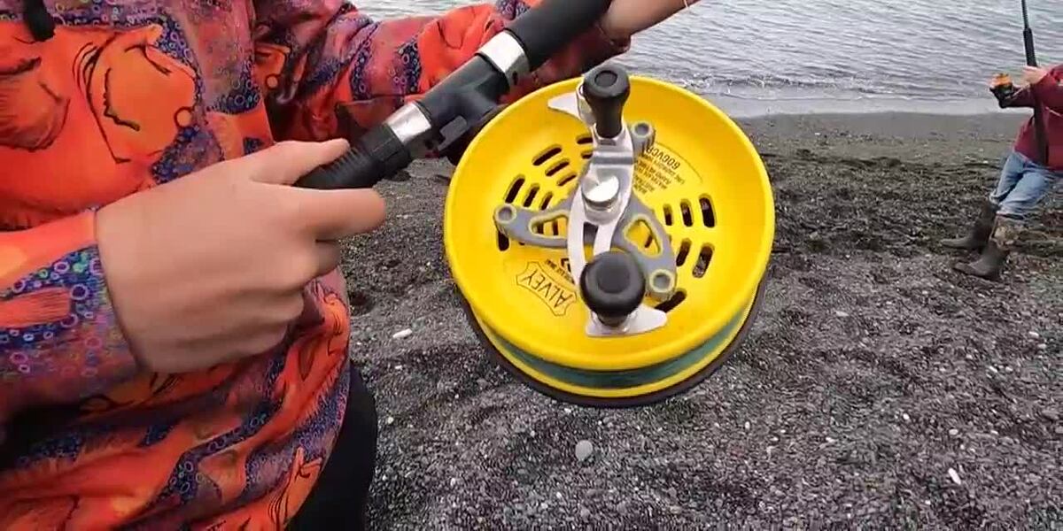alvey fishing reel 50C Stainless Steel Back Non Reverse Drag The Alvey 40GDZ Adventurer Reel will make for an ideal light boat or Estuary reel for adults and will still handle the harsh treatment of young anglers in a sandy and saltwater environment Surf Fishing Rods Alvey Surf