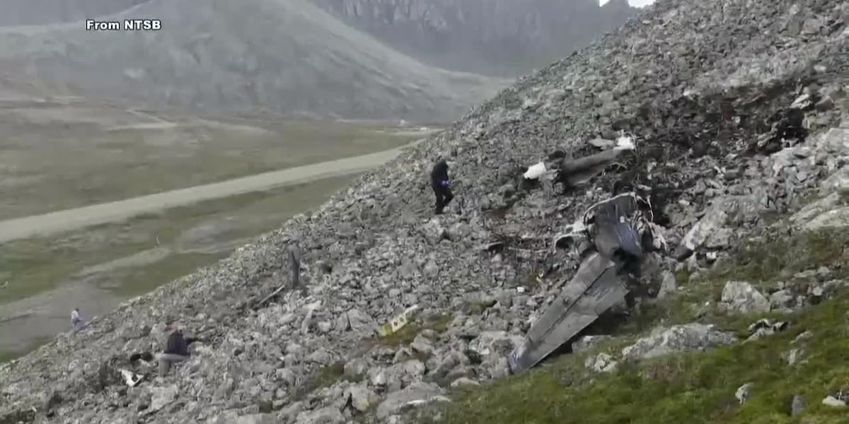 Coverage image for: NTSB releases preliminary report on Cape Newenham plane crash