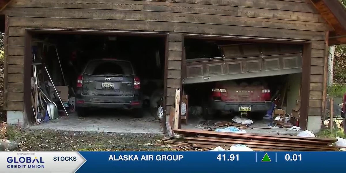 Coverage image for: Fish and Game believes they have killed a brown bear responsible for a trail of destruction in an Anchorage neighborhood