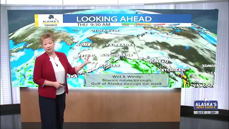 JP-Storms/Gulf of AK