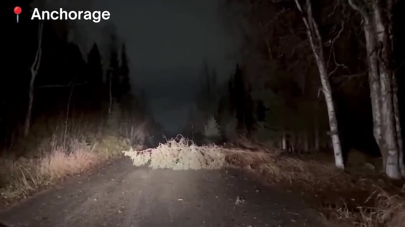 As of 9:30 a.m., over 40,000 people are reportedly without power throughout southcentral Alaska.