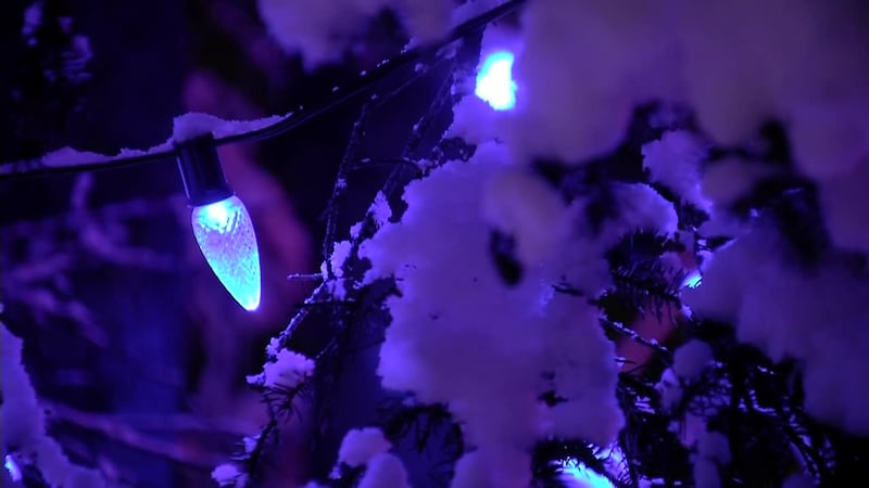 2020 Holiday Lights at Alaska Botanical Gardens